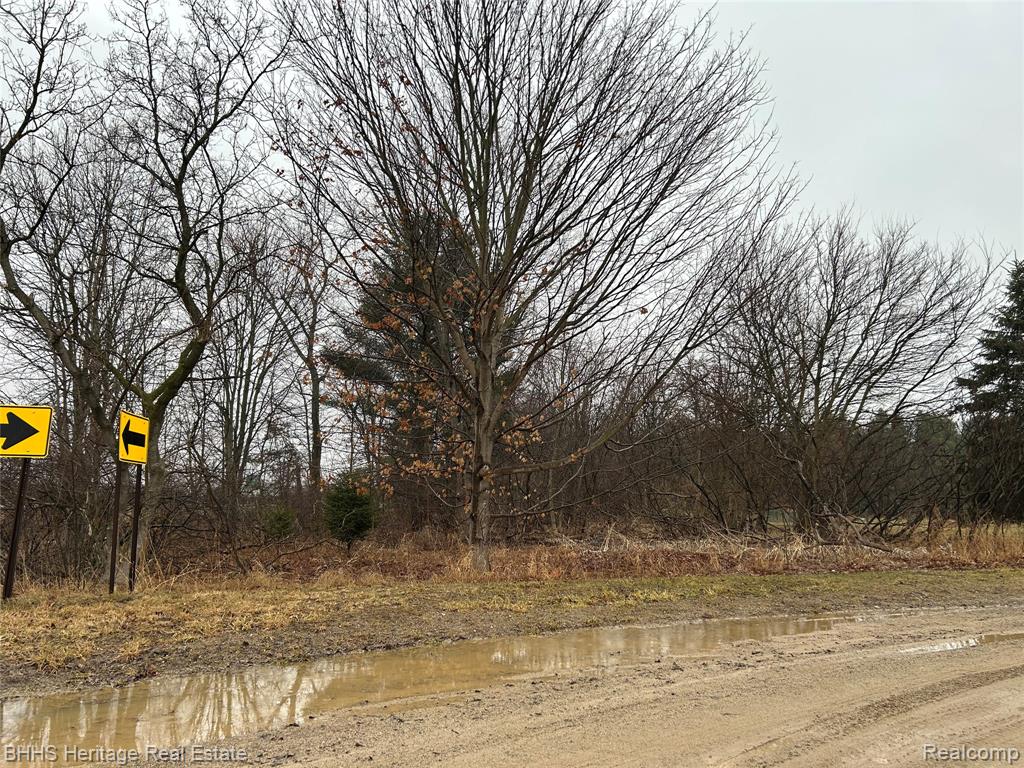 0 North Cedar Road Fowlerville, MI 48836 - Photo 2 of 2