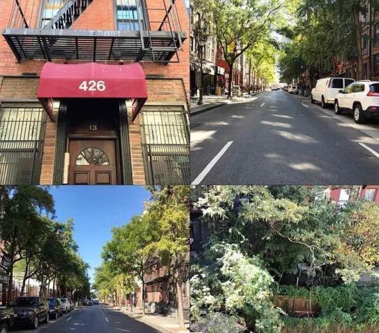 a front view of a building with garden
