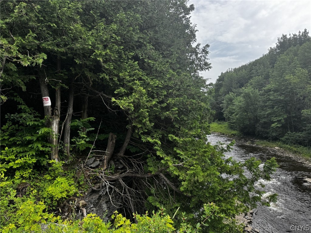 0 Old State Road Carthage, NY 13619 - Photo 2 of 6