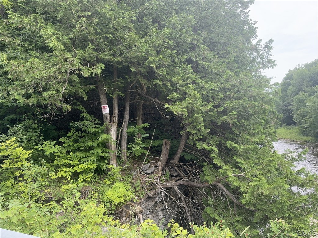 0 Old State Road Carthage, NY 13619 - Photo 3 of 6