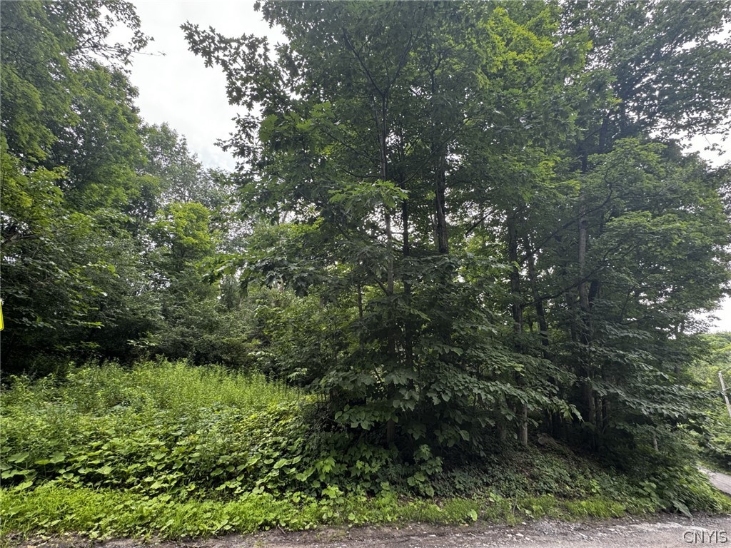 0 Old State Road Carthage, NY 13619 - Photo 6 of 6