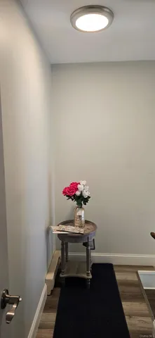 $3,900 | 235 MacDougal Street | Bedford-Stuyvesant