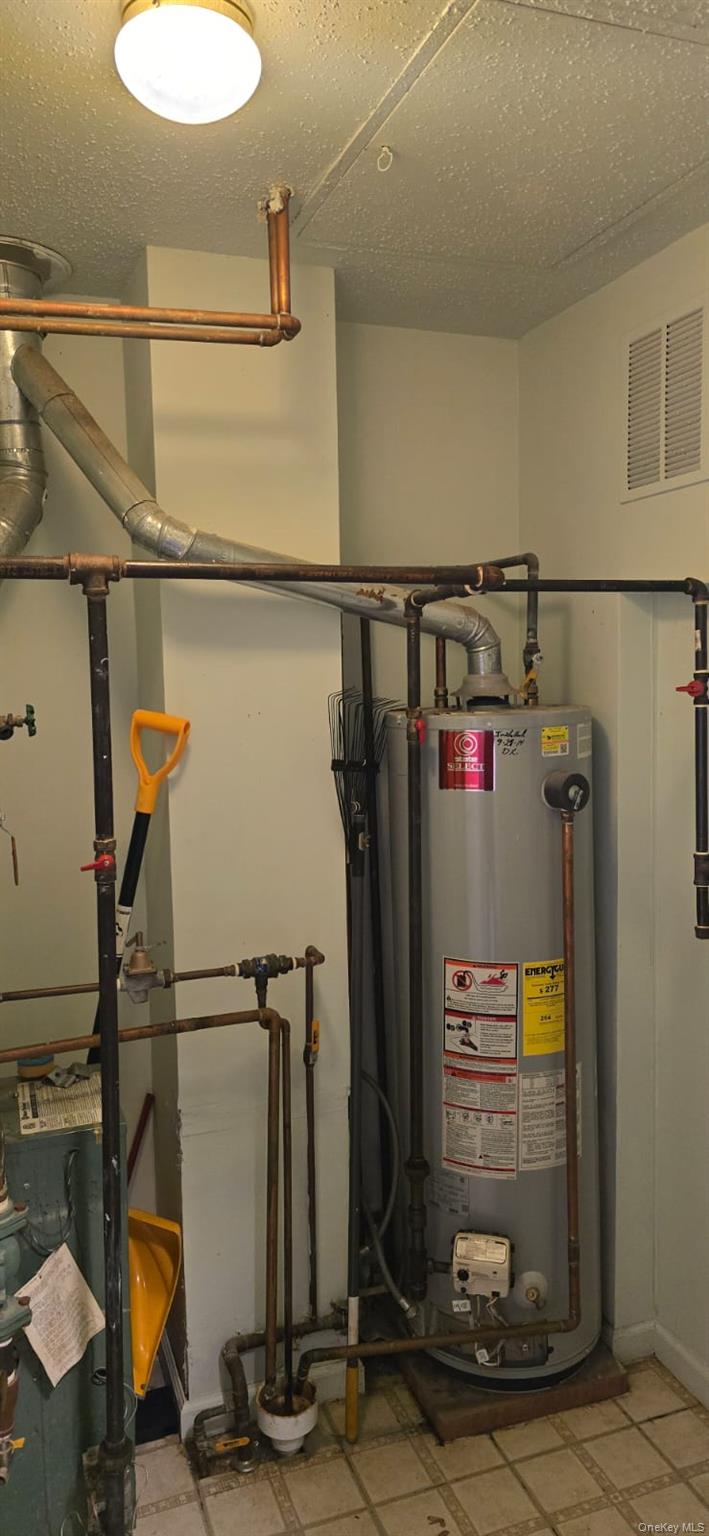 235 MacDougal Street Brooklyn, NY 11233 - Photo 7 of 21 Utilities featuring water heater