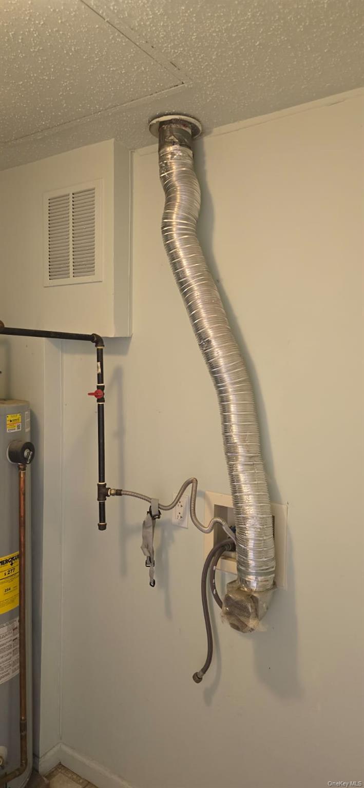 235 MacDougal Street Brooklyn, NY 11233 - Photo 10 of 21 Detailed view of gas water heater and a textured ceiling