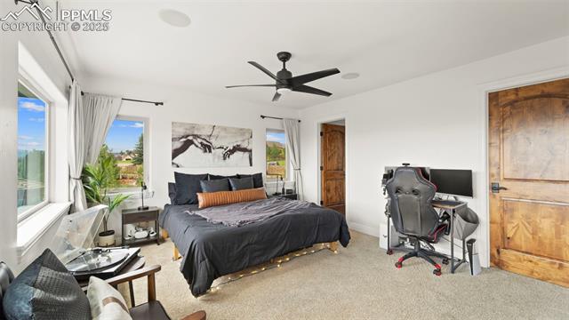 13625 Random Ridge View Colorado Springs, CO 80921 - Photo 37 of 50 Carpeted bedroom with ceiling fan