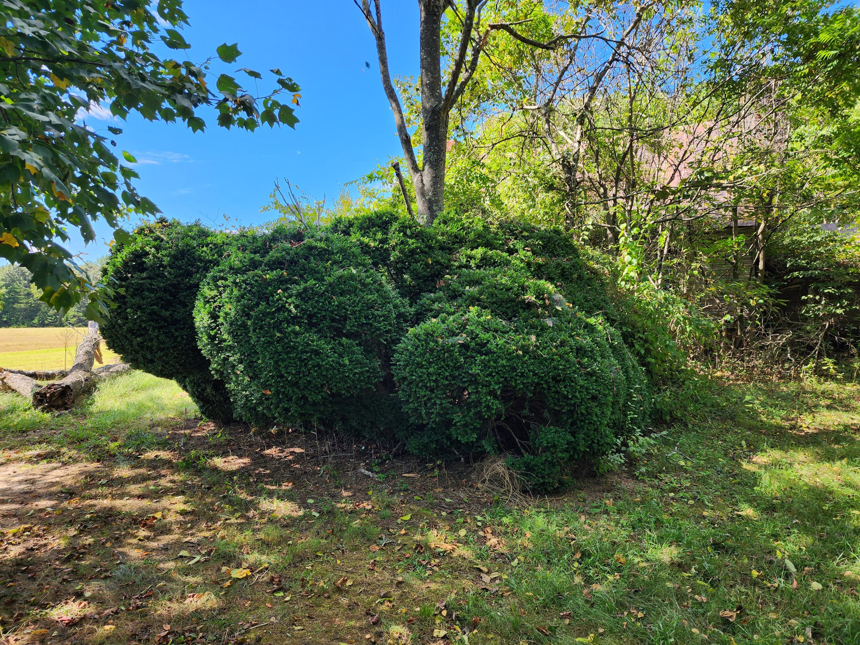 2101 Kay Fork Road Penhook, VA 24137 - Photo 30 of 39 20220922_151257