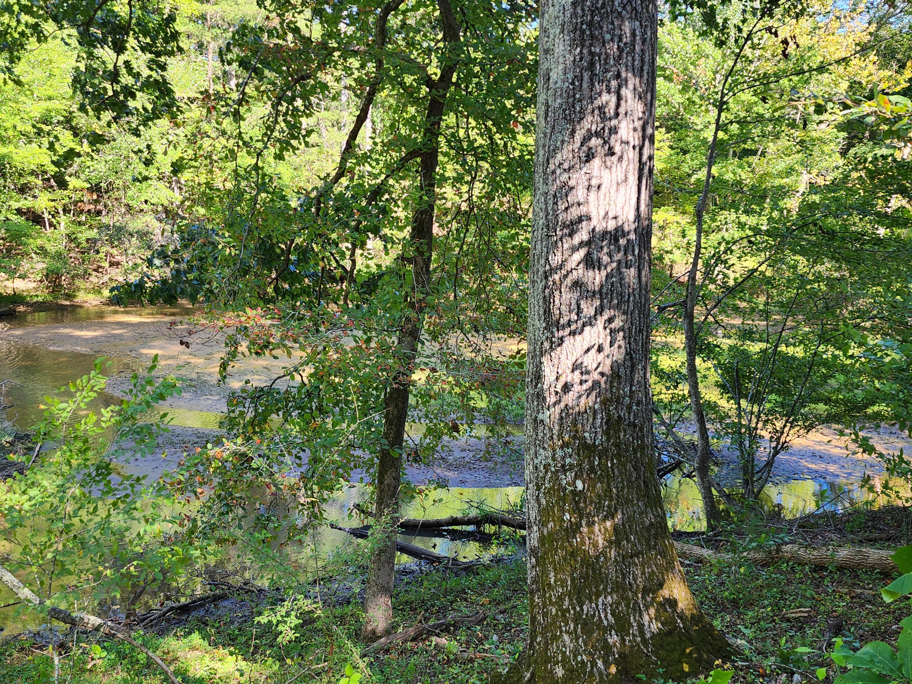 2101 Kay Fork Road Penhook, VA 24137 - Photo 33 of 39 20220922_153248