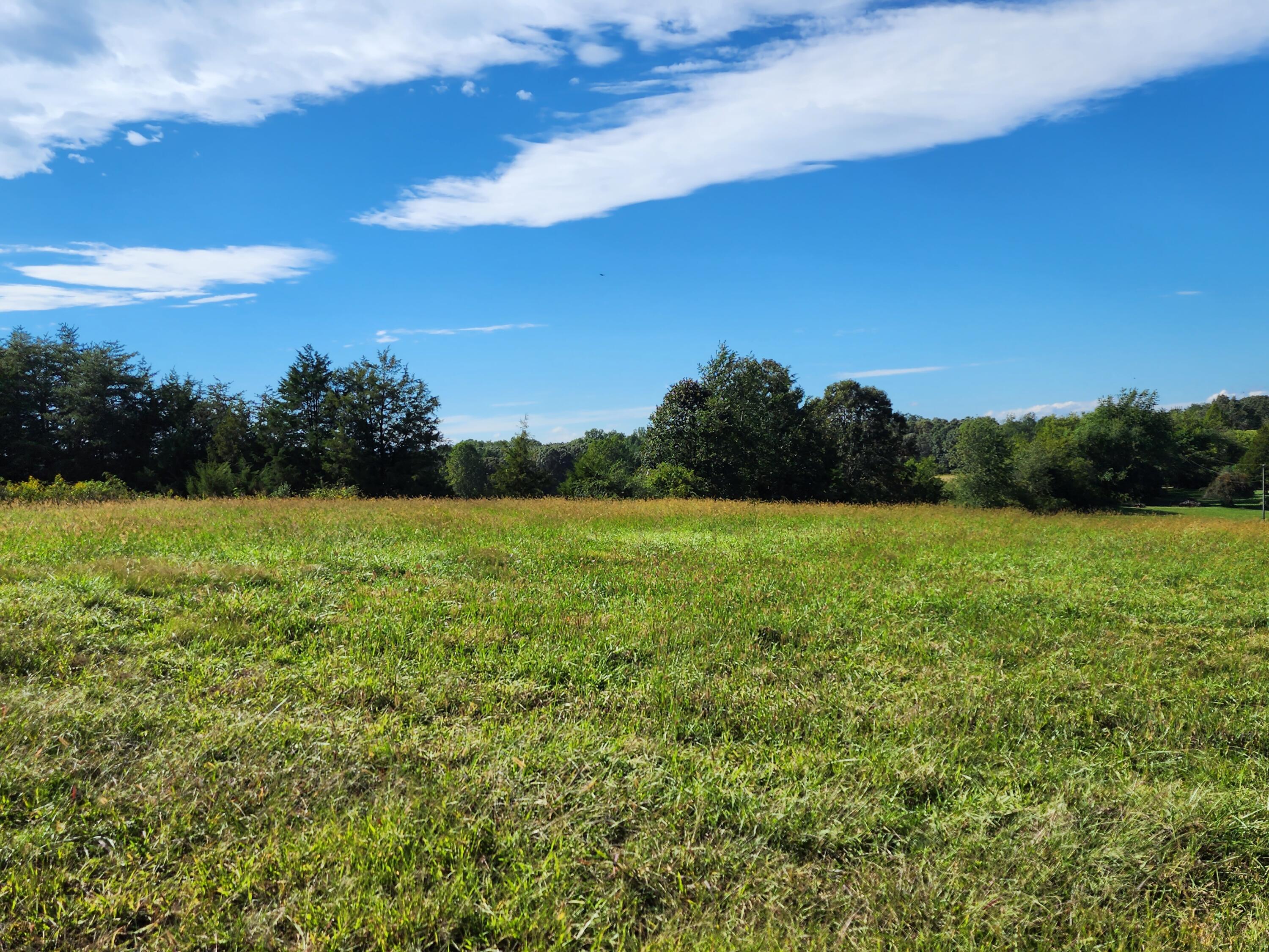 2101 Kay Fork Road Penhook, VA 24137 - Photo 38 of 39 20220922_154712