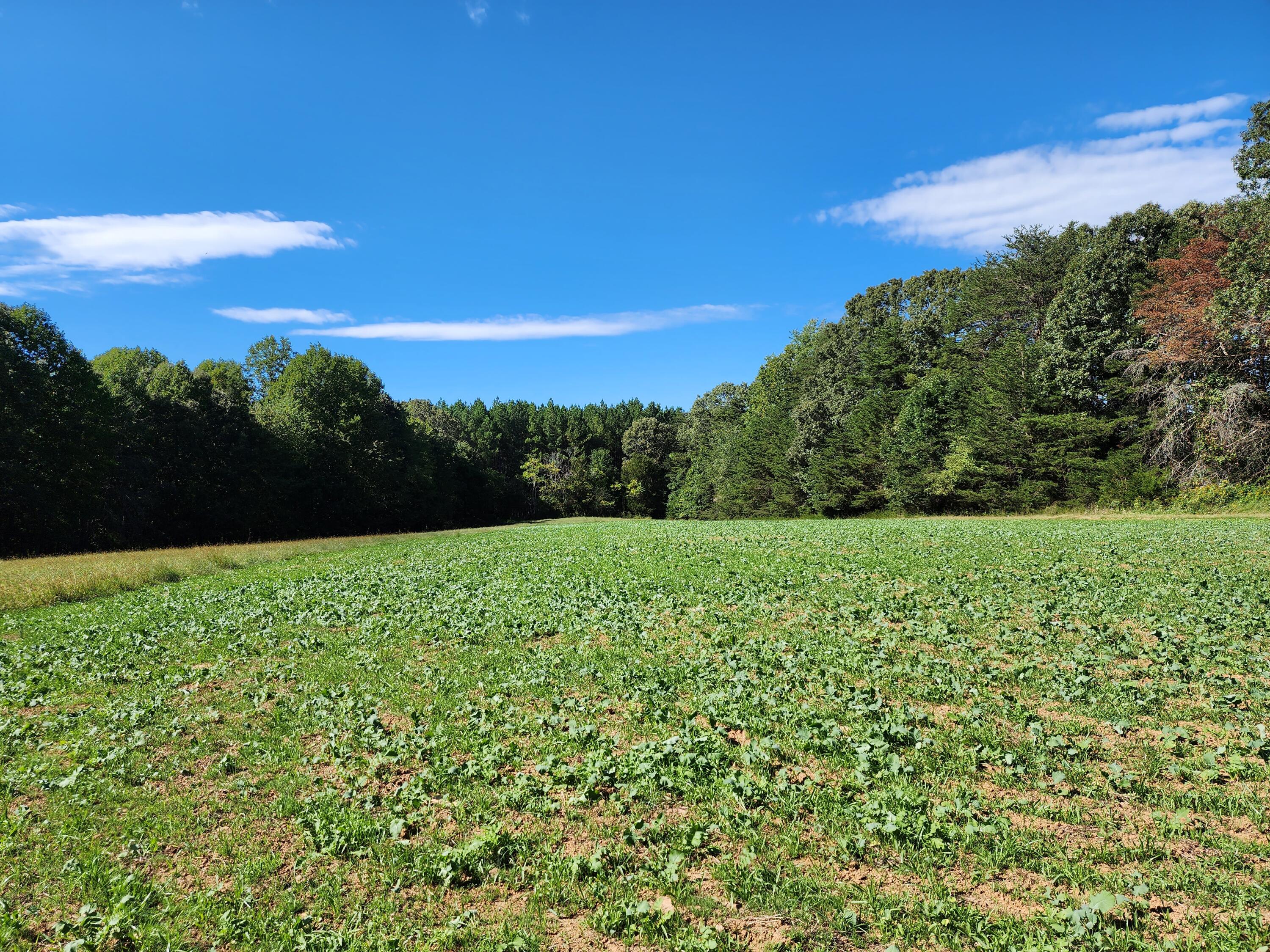 2101 Kay Fork Road Penhook, VA 24137 - Photo 5 of 39 20220922_152259
