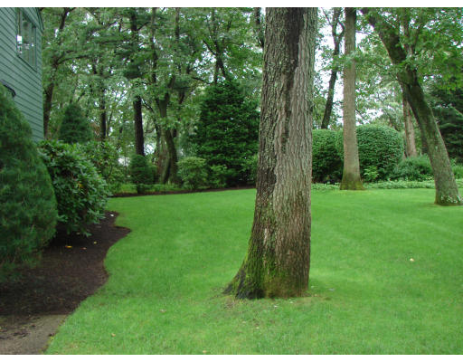 50 Aletha Road Needham, MA 02492 - Photo 11 of 12 a view of a garden with a tree