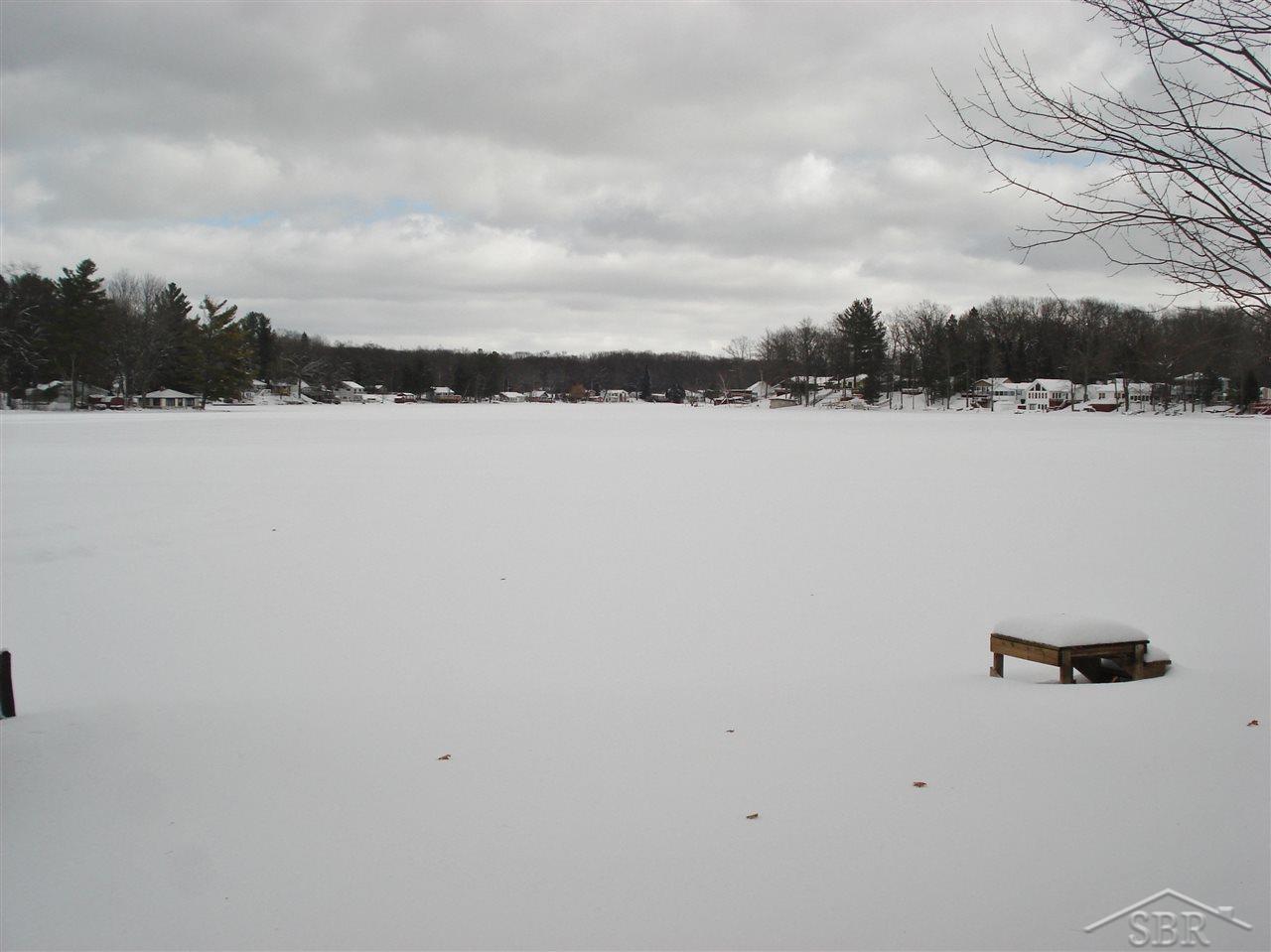 322 Oak Tree Lake Lake, MI 48632 - Photo 5 of 25