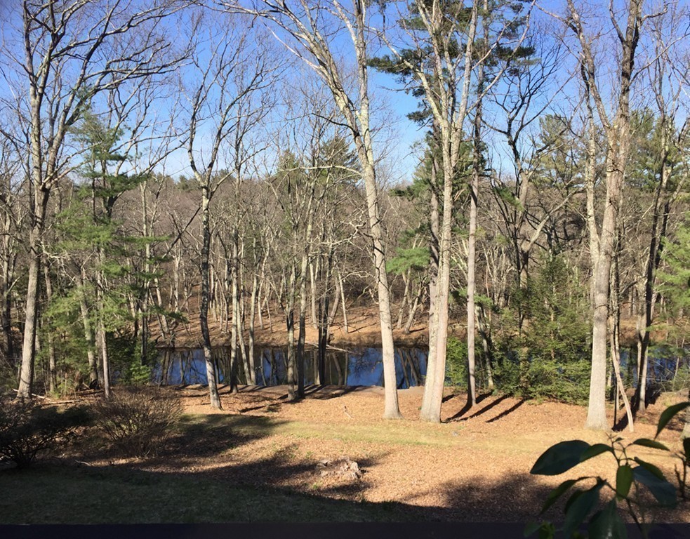 349 Nashawtuc Road Concord, MA 01742 - Photo 19 of 24 Gallery Image 19