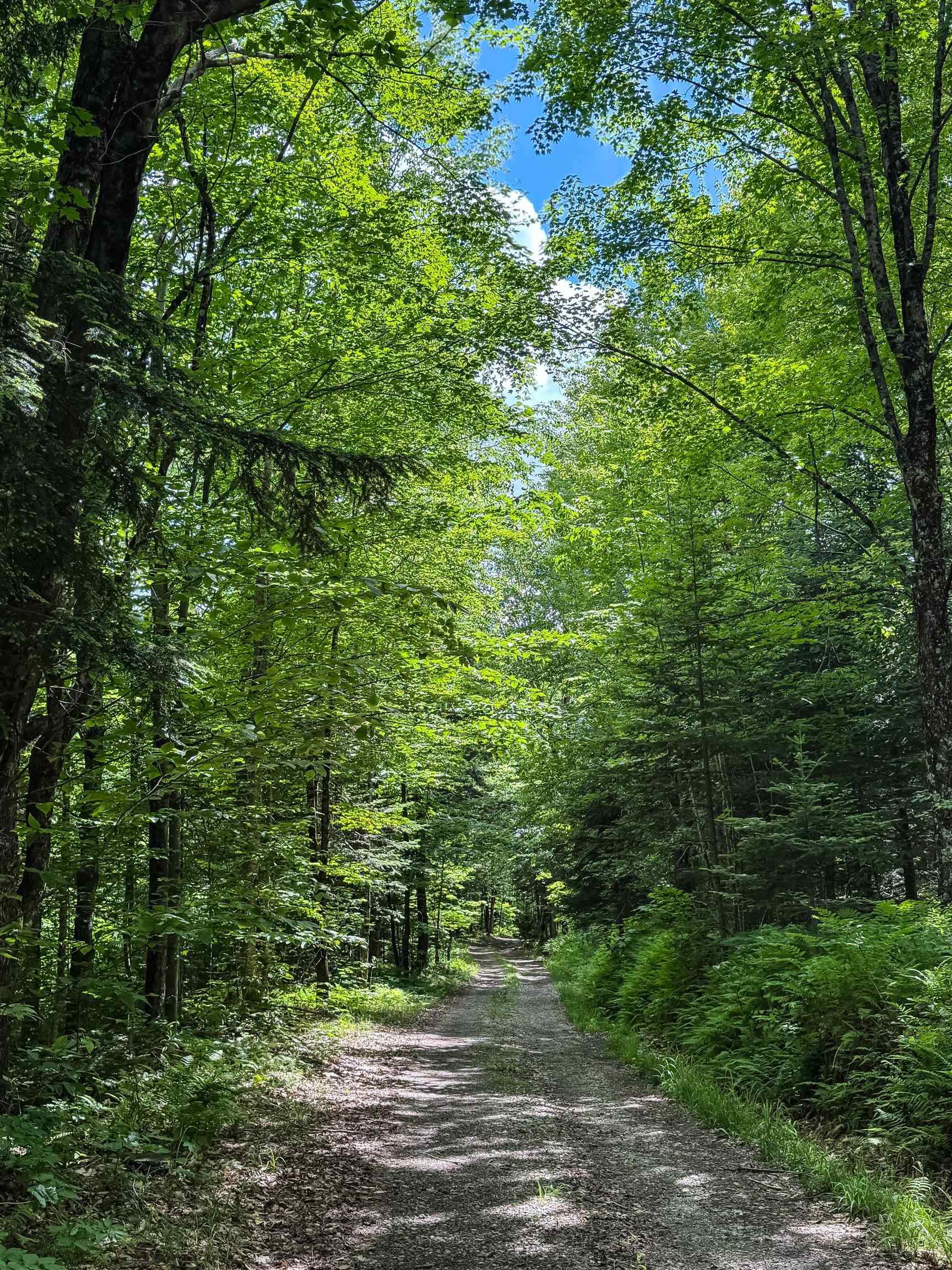 273 Guyette Road Lowell, VT 05847 - Photo 1 of 9