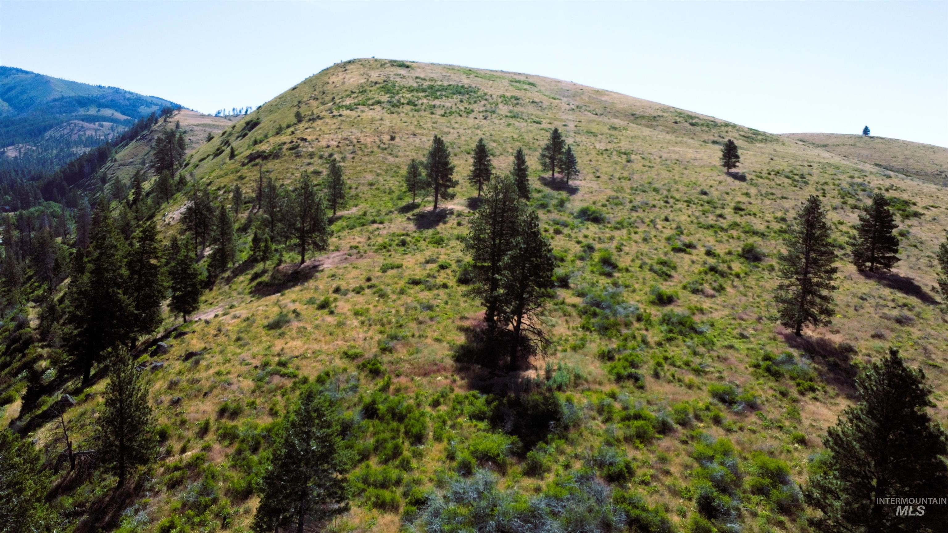 Tbd Advent Gulch Road Cambridge, ID 83610 - Photo 8 of 24