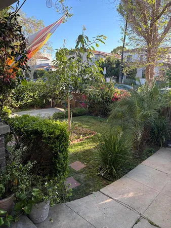 a view of a back yard