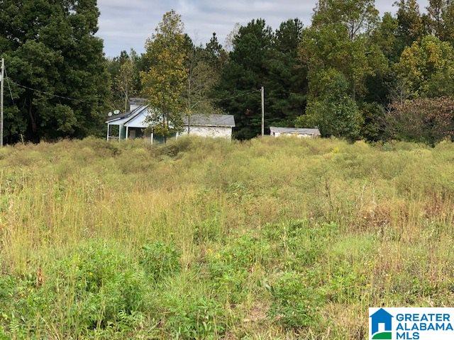 798 Starnes Chapel Road Blountsville, AL 35031 - Photo 17 of 22