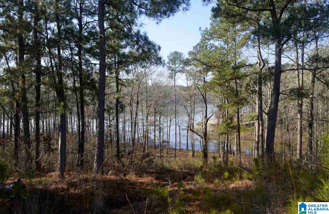 Stillwaters Trail, Unit 179 Sylacauga, AL 35151 - Photo 4 of 20