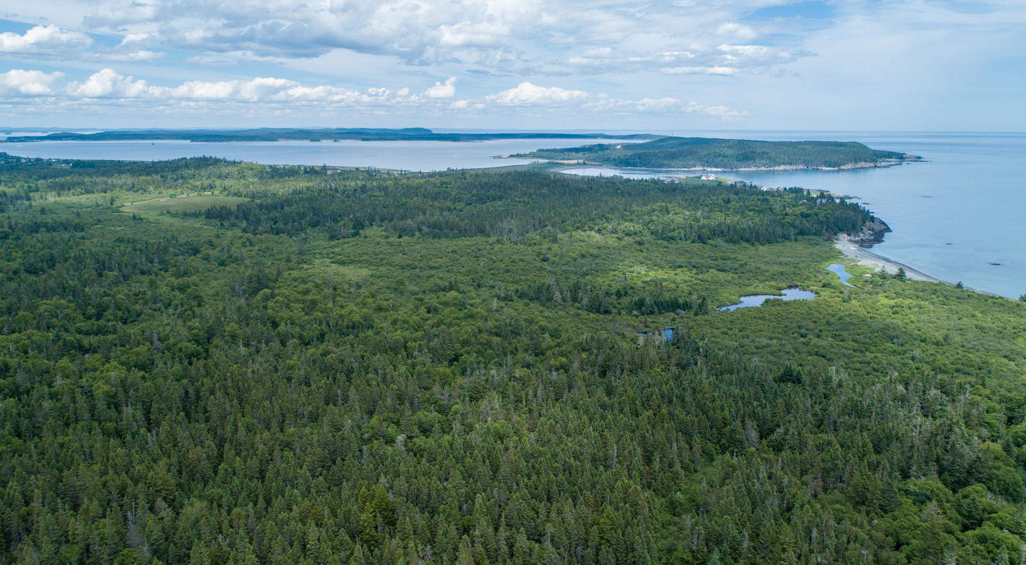 M2-l2 Boot Cove Road Lubec, ME 04652 - Photo 12 of 32 Lot 2 Boot Cove Road Lubec Maine Shayna