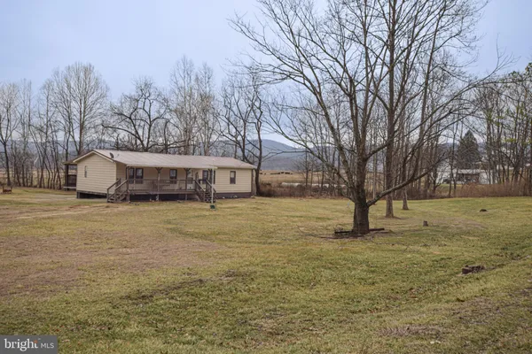 a view of a yard with a house and a large tree