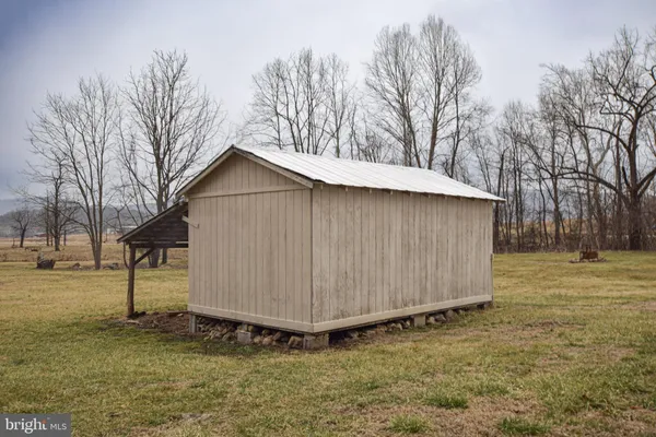 a view of a dry yard with green space