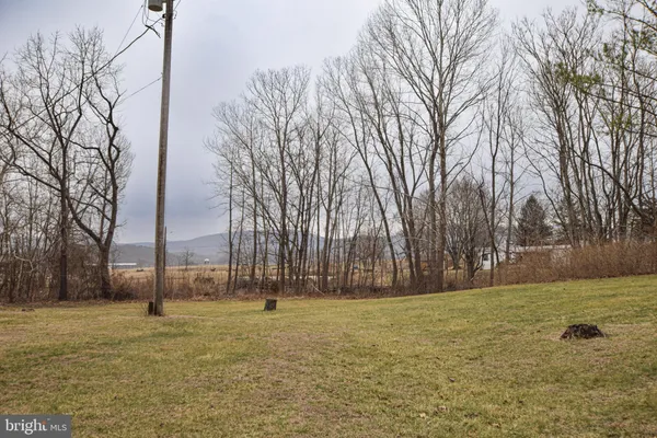 a view of a yard covered with trees