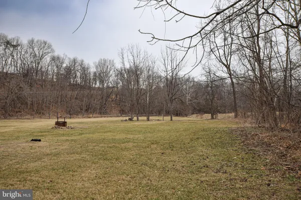 a view of a yard with trees in the background