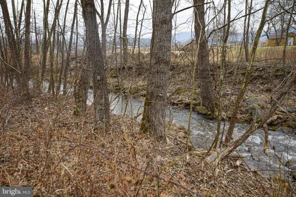 a house view with a backyard space