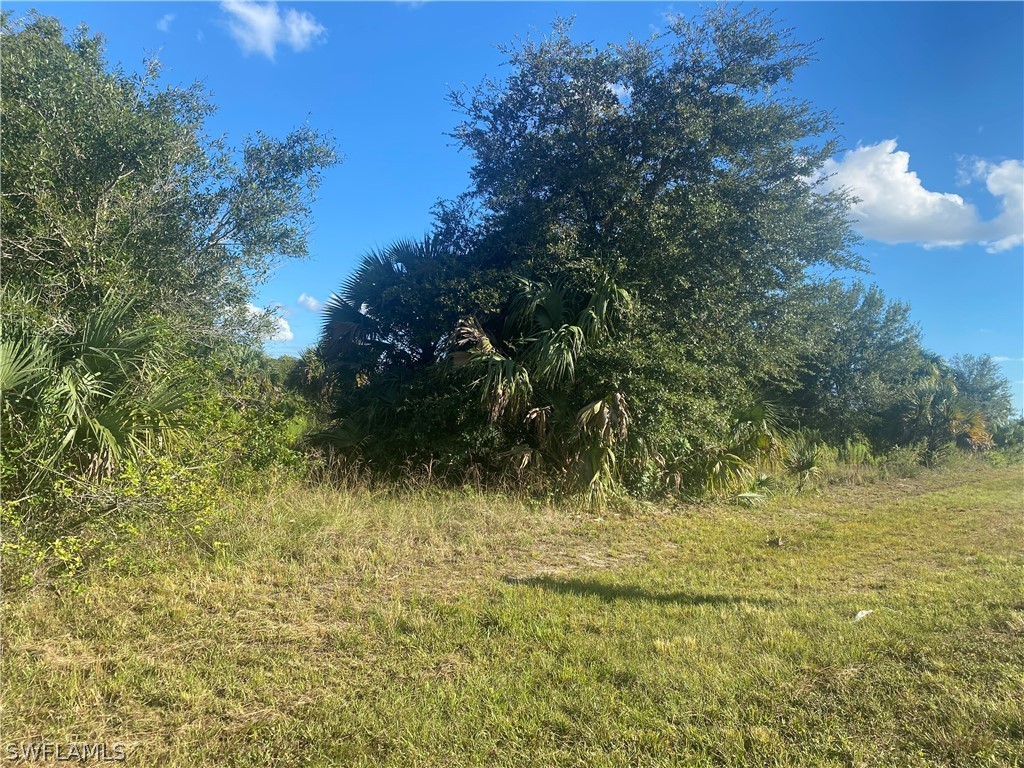 2524 Park Road Lehigh Acres, FL 33971 - Photo 6 of 9 a view of a garden
