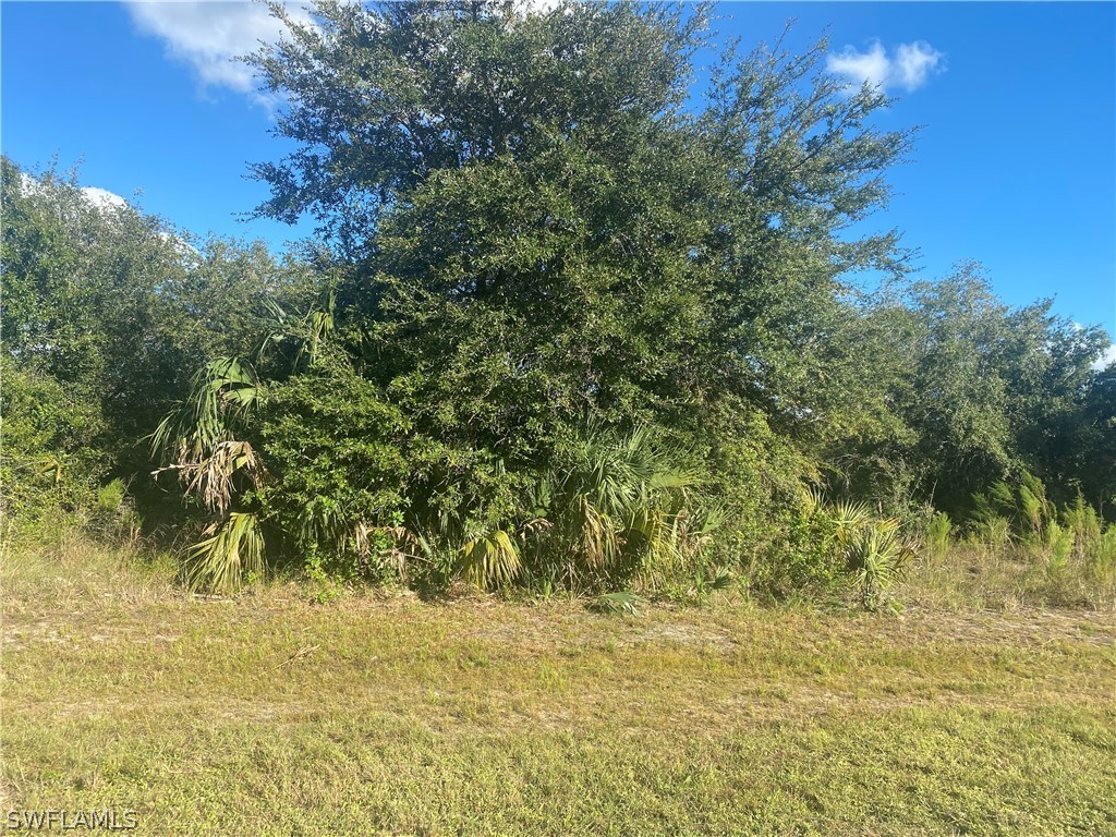 2524 Park Road Lehigh Acres, FL 33971 - Photo 8 of 9