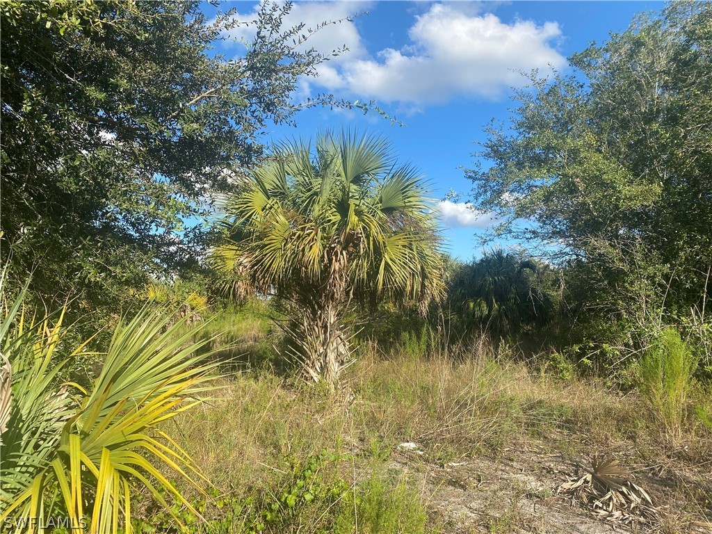 2524 Park Road Lehigh Acres, FL 33971 - Photo 9 of 9 a view of a lake