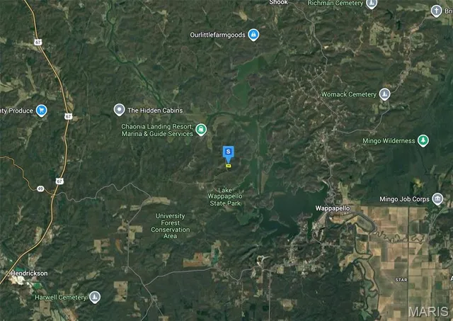 $45,999 | 1100 Wayne 551 Road, Williamsville, MO 63967