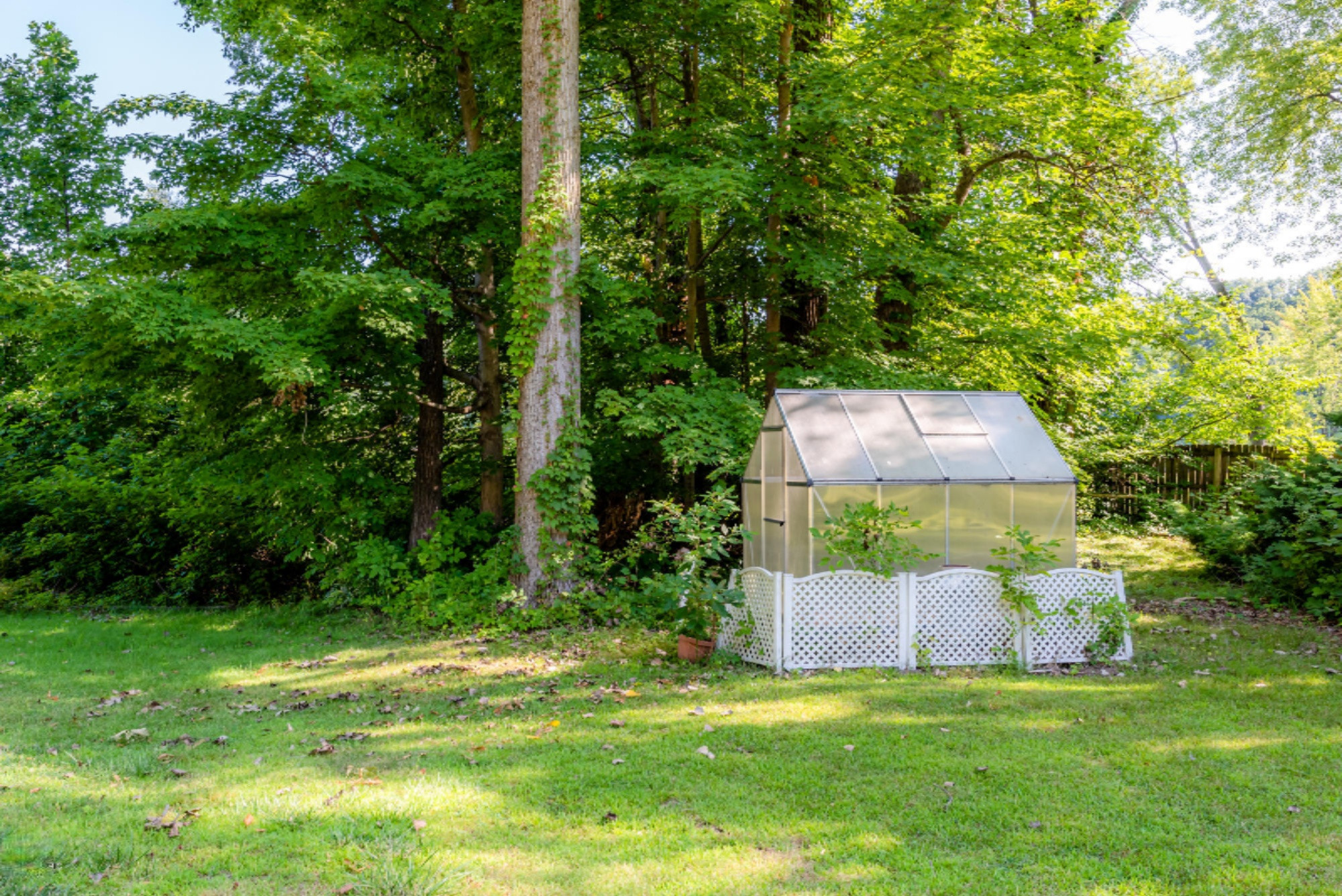 207 East Shawnee Road Baroda, MI 49101 - Photo 35 of 45 greenhouse