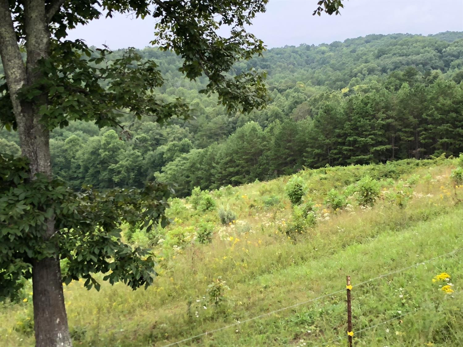 1160 Kelly Branch Road London, KY 40741 - Photo 47 of 49 Photo 47