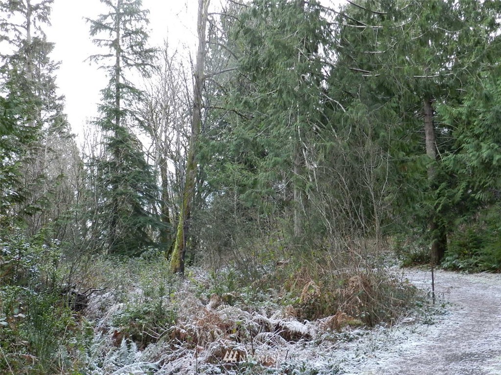 4415 Whiteman Road Southwest Longbranch, WA 98351 - Photo 3 of 4