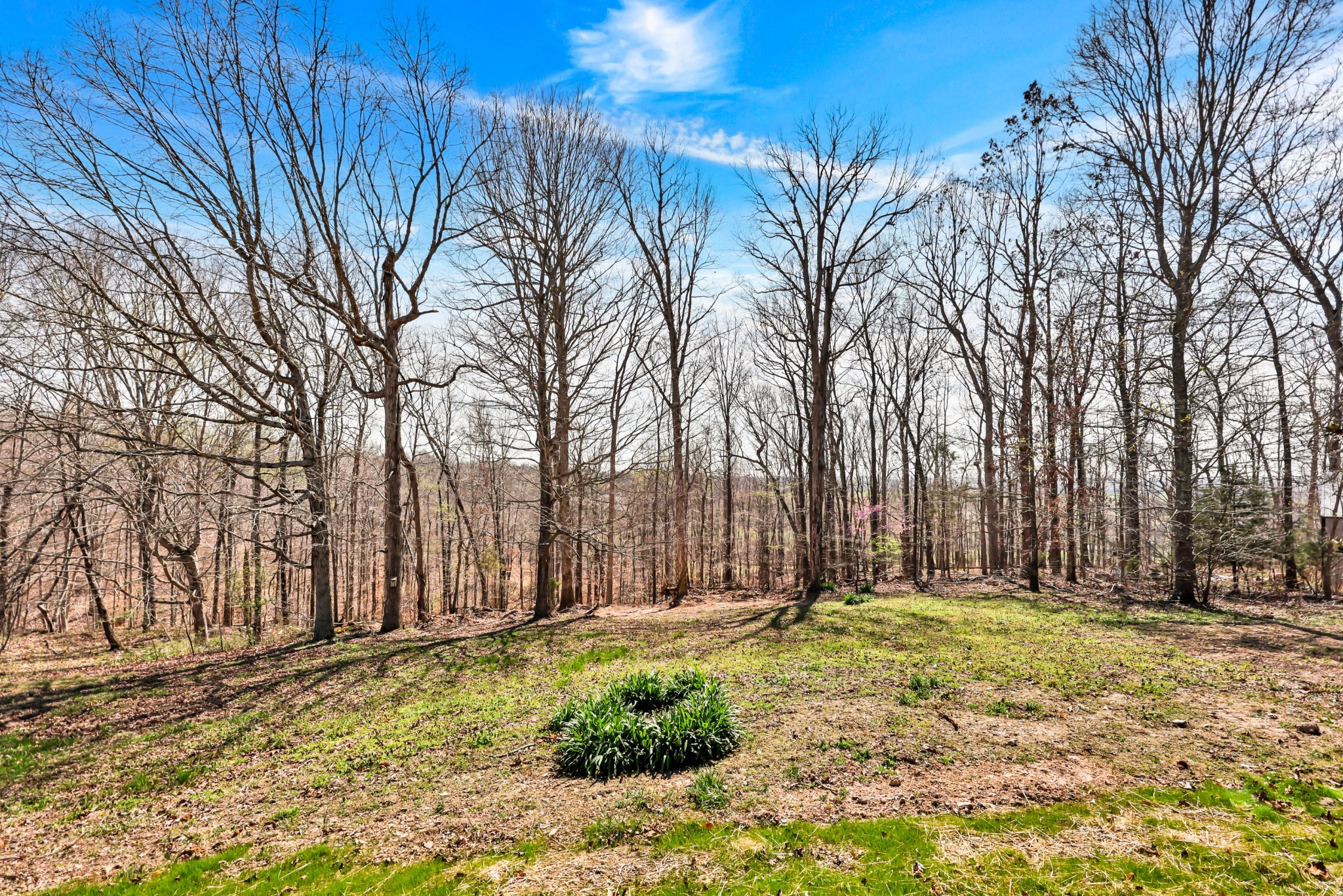 4840 Tarsus Road Palmyra, TN 37142 - Photo 27 of 33