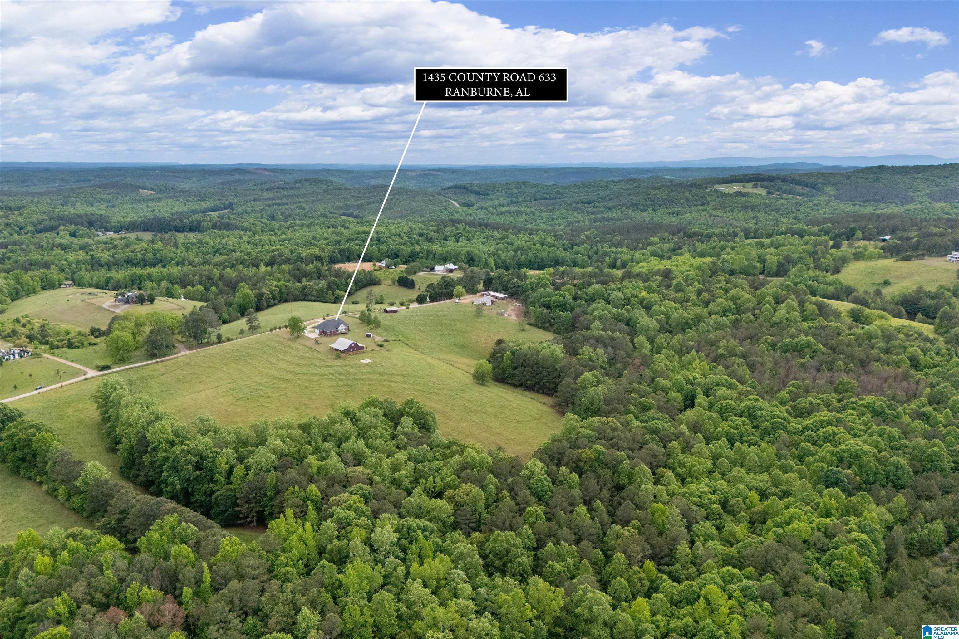 1435 County Road 633 Ranburne, AL 36273 - Photo 67 of 96
