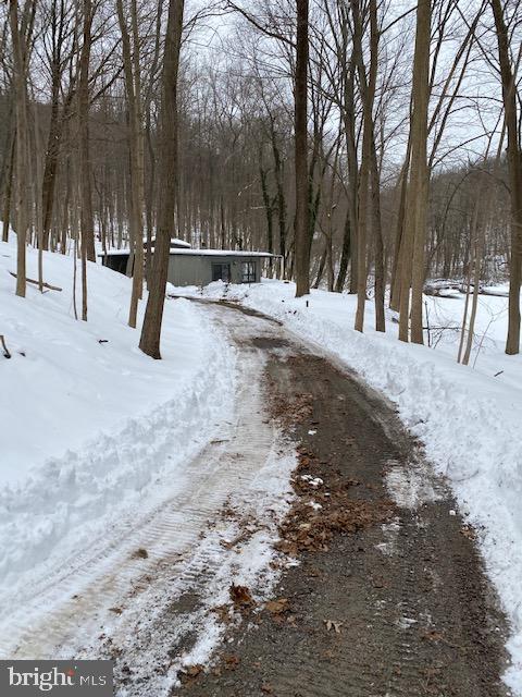 7601 Powder Valley Road Zionsville, PA 18092 - Photo 1 of 16 Long Driveway Entrance to Home