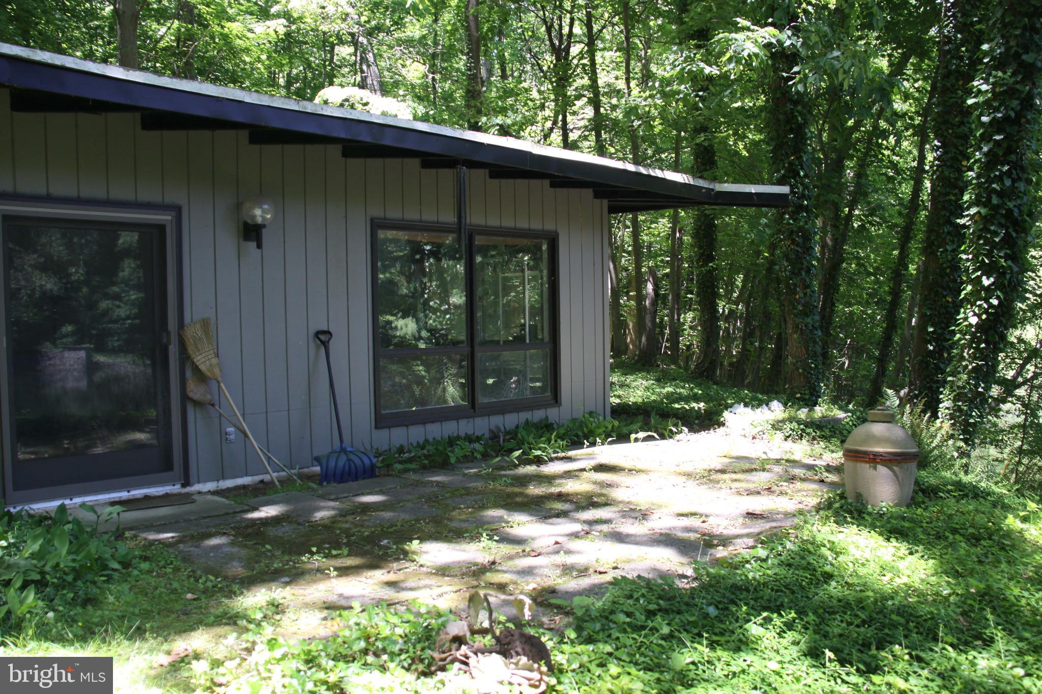 7601 Powder Valley Road Zionsville, PA 18092 - Photo 14 of 16 June 2020 Outdoor Shot