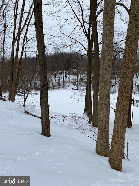 7601 Powder Valley Road Zionsville, PA 18092 - Photo 4 of 16 Beautiful snow covered Indian Creek