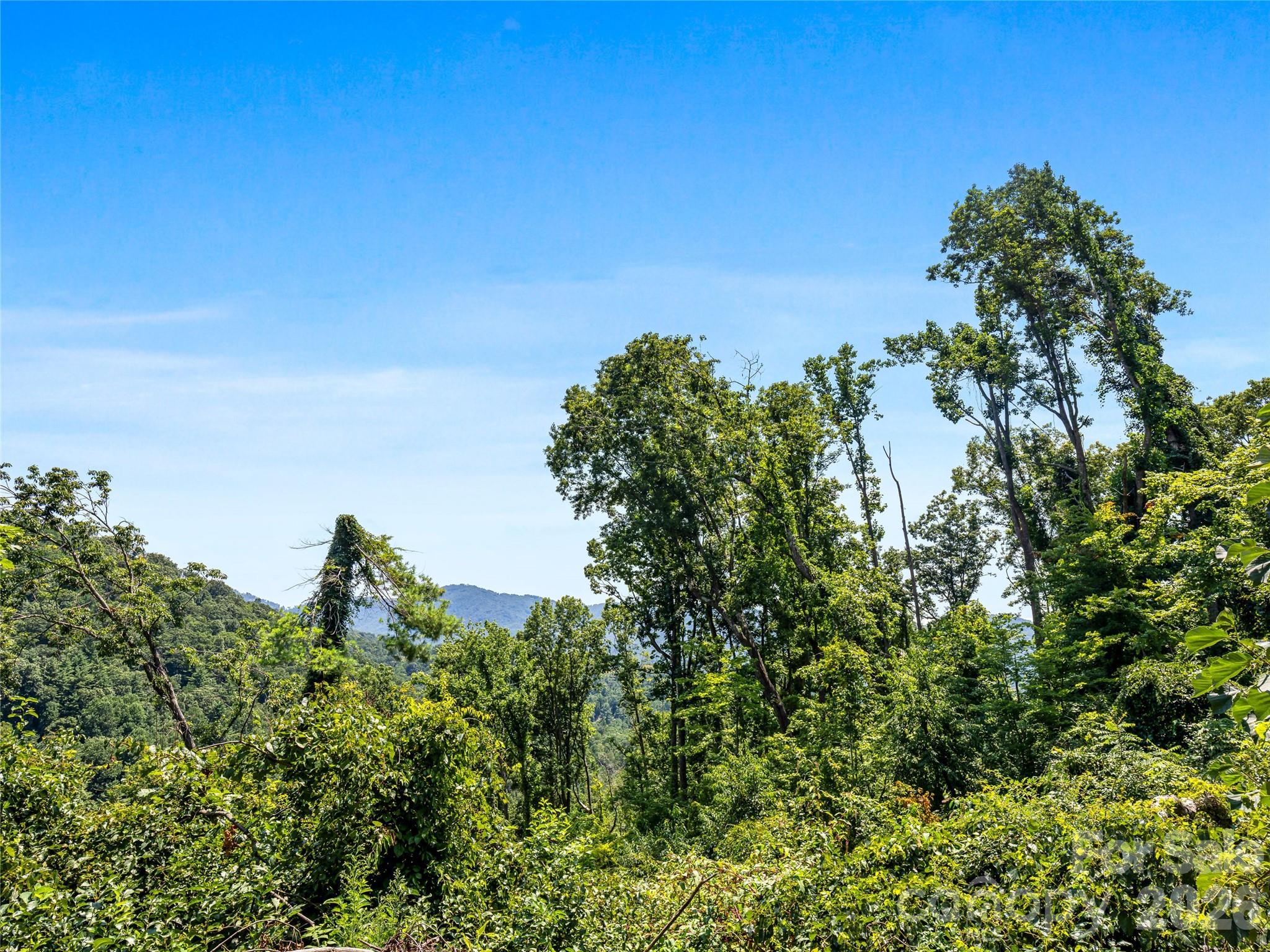 Tbd Robinhood Road, Unit 2 Asheville, NC 28804 - Photo 38 of 38 Gallery Image 38