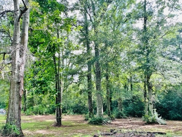 360 Hunt Road Foxworth, MS 39483 - Photo 23 of 62 Photo 23