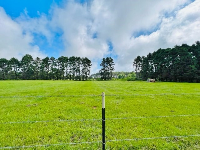 360 Hunt Road Foxworth, MS 39483 - Photo 55 of 62 Photo 55