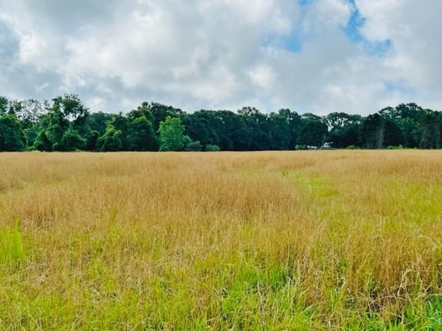 360 Hunt Road Foxworth, MS 39483 - Photo 60 of 62 Photo 60