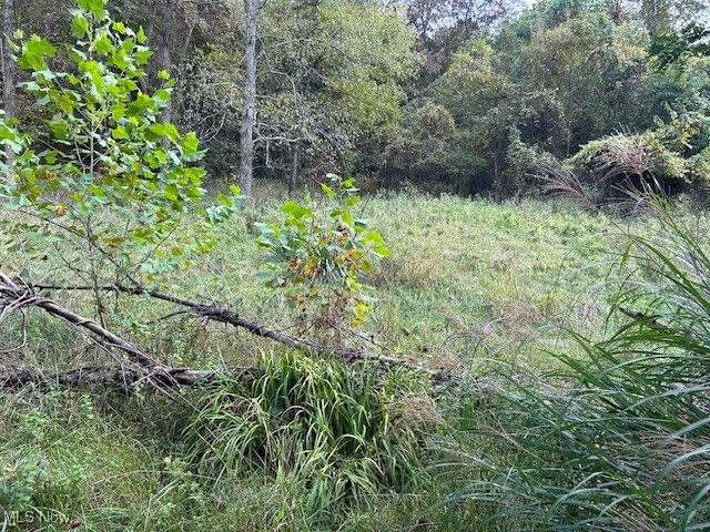 1990 Meathouse Fork Road Ravenswood, WV 26164 - Photo 9 of 14