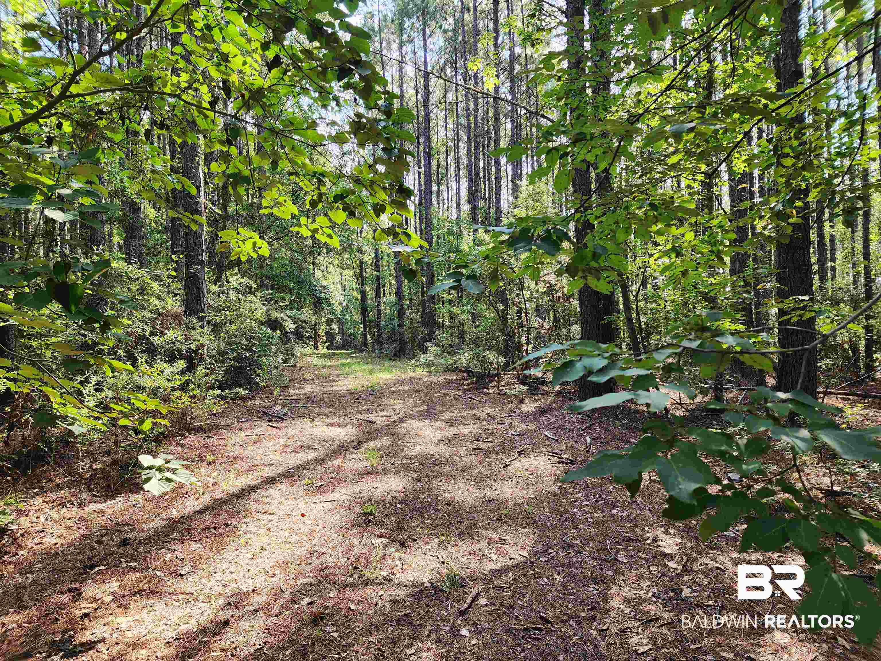 0 Lowery Road Atmore, AL 36502 - Photo 16 of 28
