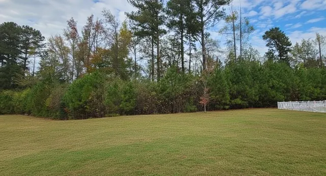 $2,595 | 2239 Bender Trail, Buford, GA 30519