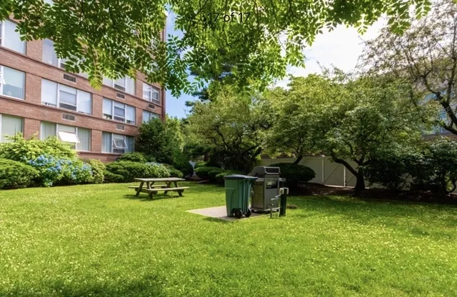 a view of a garden with a bench and a bench