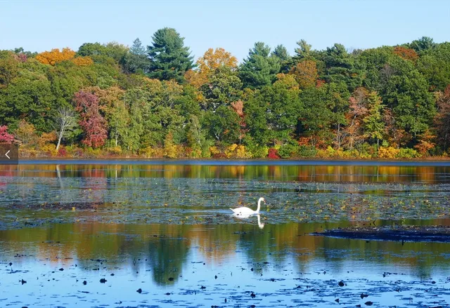 a view of a lake with houses
