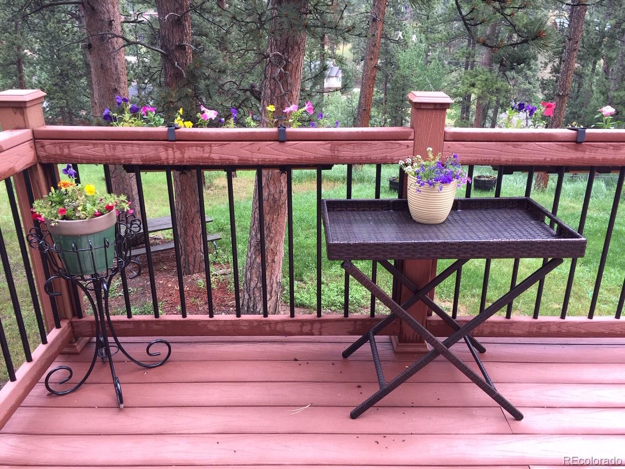 29973 Spruce Road Evergreen, CO 80439 - Photo 29 of 32 Gallery Image 29