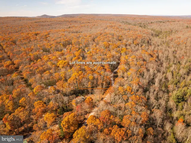 a view of a park with slide